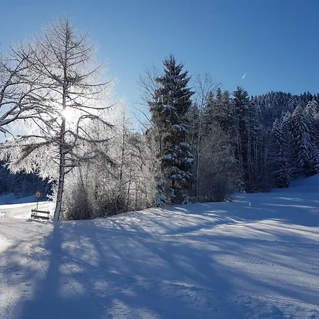 Enzian 1 Im Sonnenhang Im Allgaeu * Missen-Wilhams